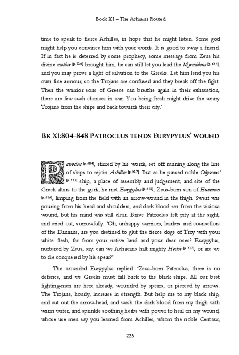 The Iliad - Page 229